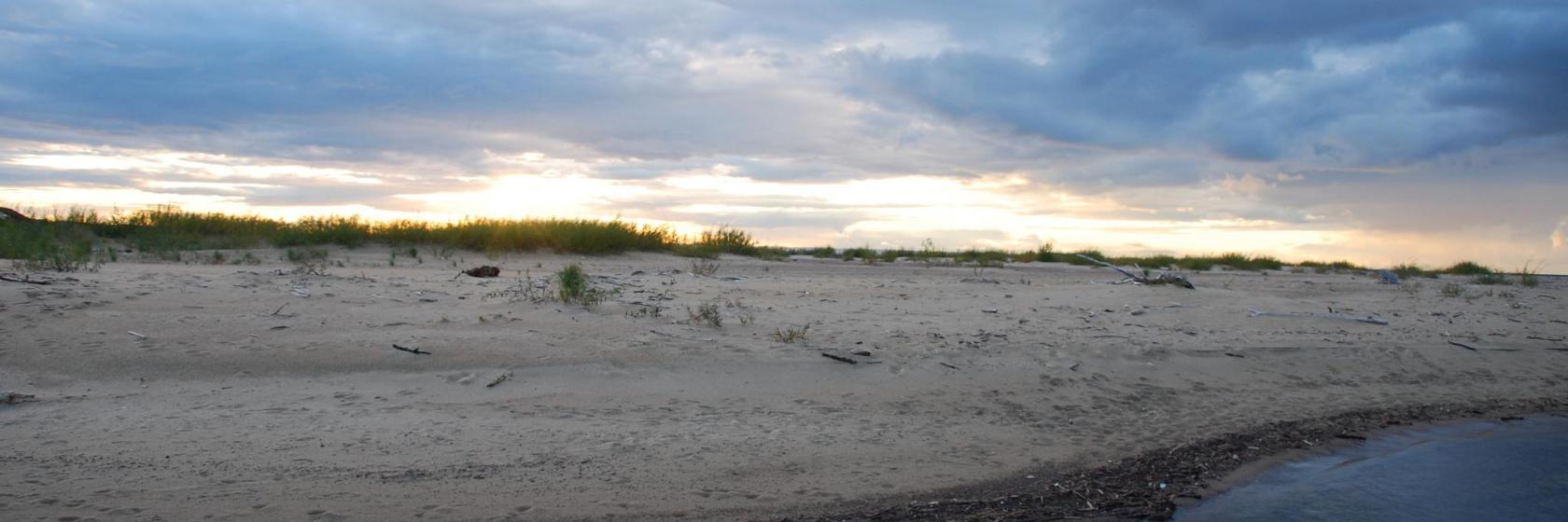 Rezerwat przyrody Mewia Lacha